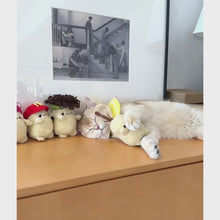 Load and play video in Gallery viewer, Cat with Cute Potato Silvervine Cat Chew Toys | MissyMoMo
