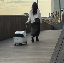 Load and play video in Gallery viewer, Rolling Cat with White Cat Carrier with Wheels | Stylish Cat Stroller | MissyMoMo
