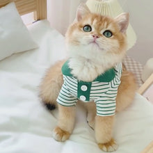 Load and play video in Gallery viewer, Cat in Striped Polo Shirt | MissyMoMo
