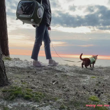 Load and play video in Gallery viewer, TellyMoMo Airline Approved Hard Cat Carrier | MissyMoMo
