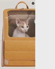 Load and play video in Gallery viewer, Floof Voyager Cat Traveling Backpack | Cat in Clear Cat Backpack | MissyMoMo
