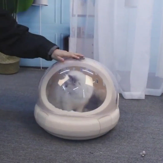 PSM Spaceship Cat Carrier | Hard Cat Carrier for Travel | MissyMoMo