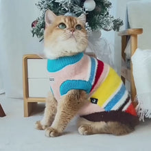 Load and play video in Gallery viewer, Cat Wearing Rainbow Stripe Sweater | Colorful Knit Cat Outfit | MissyMoMo
