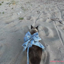 Load and play video in Gallery viewer, Siamese Cat Walking on the Beach with Fuji Cat Harness in Blue Checkered Pattern | MissyMoMo

