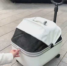 Load and play video in Gallery viewer, White Cat Carrier with Wheels | Stylish Cat Stroller | MissyMoMo

