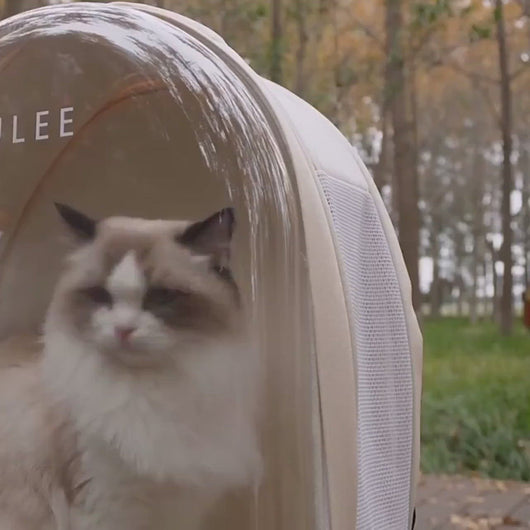 Wulee Clear Bubble Cat Backpack | Travel Carrier For Cats | MissyMoMo