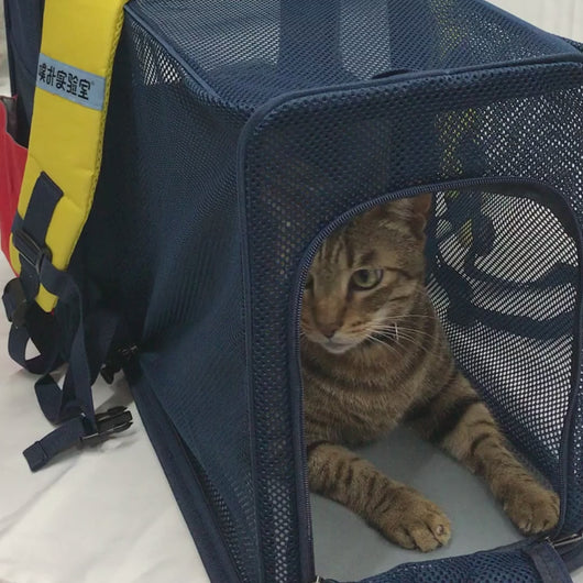 PurLab Gameboy Expandable Cat Backpack | Cat Bag for Travel | MissyMoMo