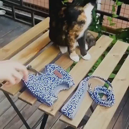 Cat Wearing Fuku Cat Harness in Blue Pattern | MissyMoMo