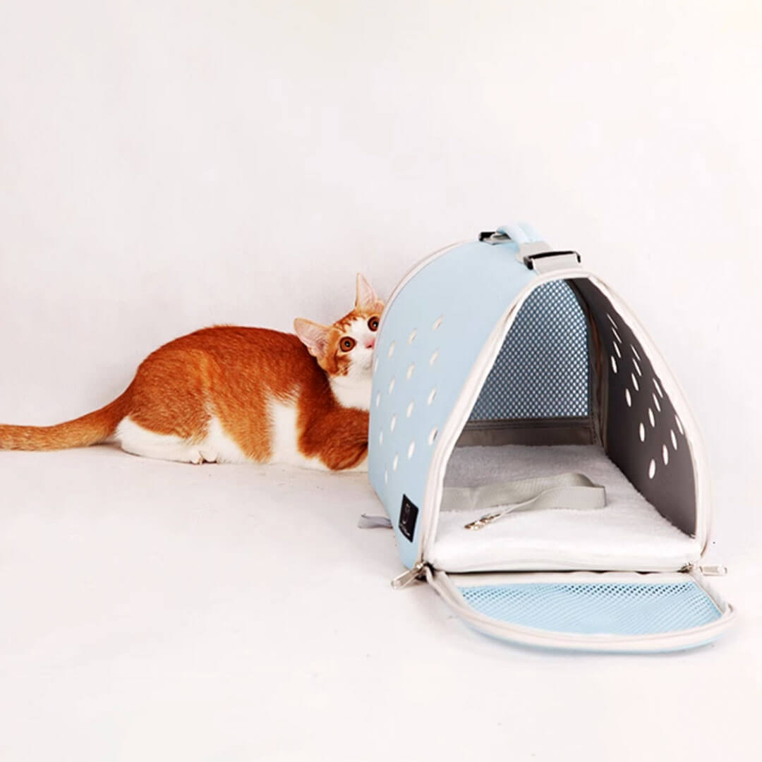 Cat Behind Blue Soft Airline-Approved Cat Carrier for Flying | MissyMoMo