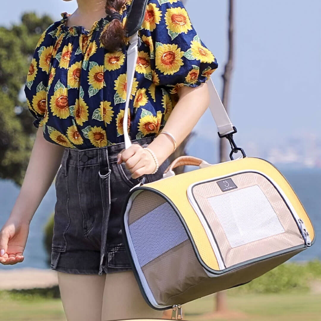 Carrying Lightweight Travel Cat Carrier | MissyMoMo