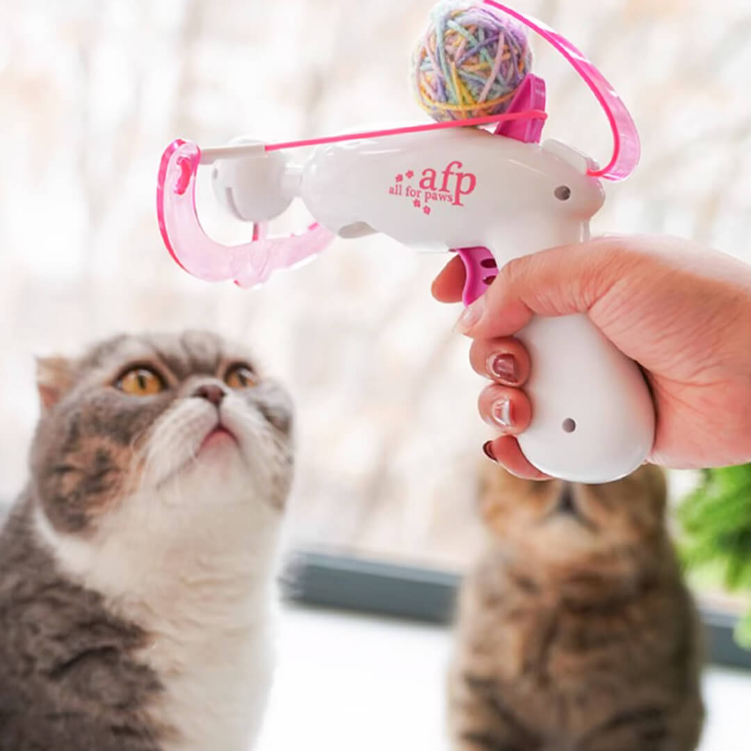AFP Launcher Cat Toy | Interactive Cat Toys | MissyMoMo
