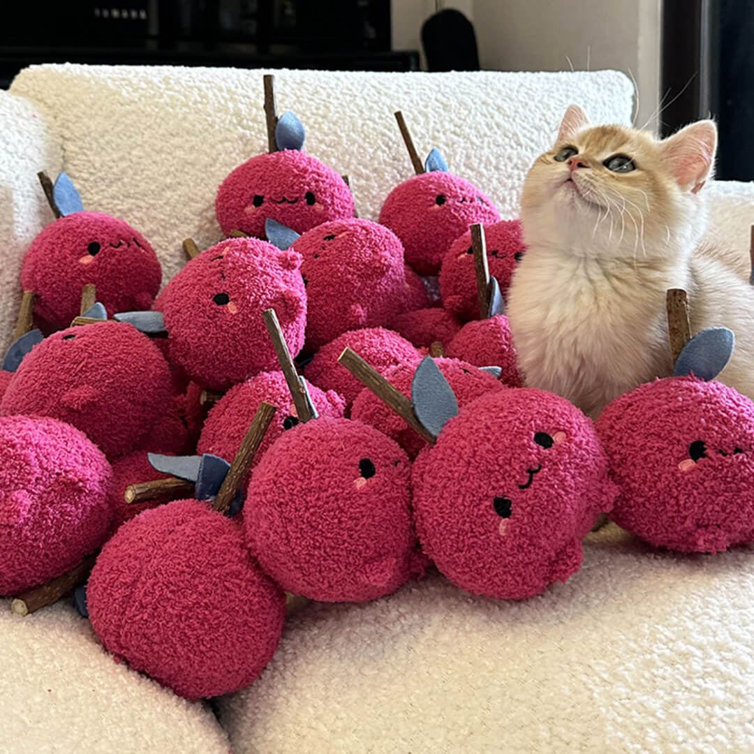 Cat with Cute Apple Silvervine Cat Chew Toys | MissyMoMo
