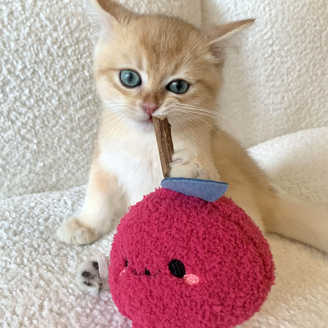 Cat with Cute Apple Silvervine Cat Chew Toy | MissyMoMo