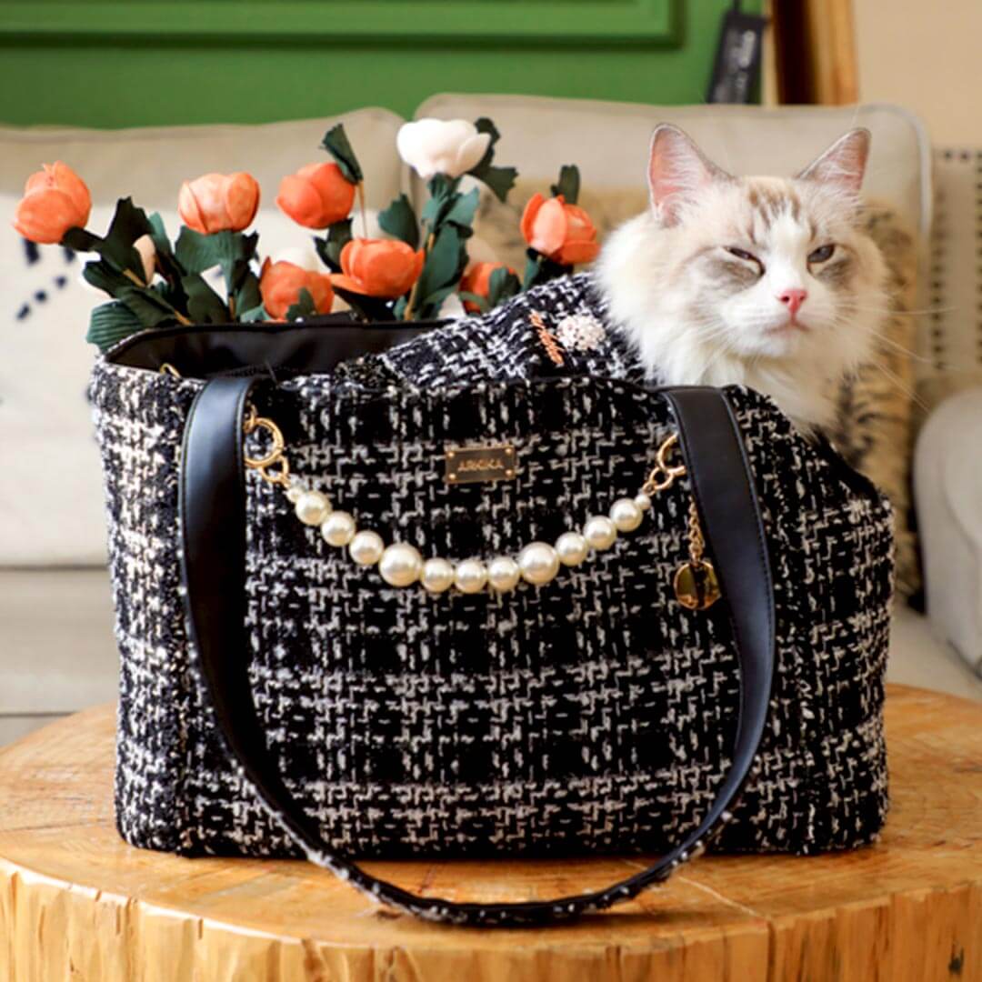 Cat Relaxing in Black Arkika Cat Shoulder Bag | MissyMoMo