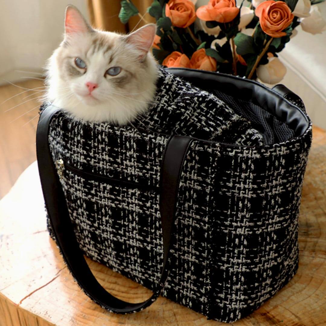 Cat Relaxing in Black Arkika Cat Shoulder Bag | MissyMoMo