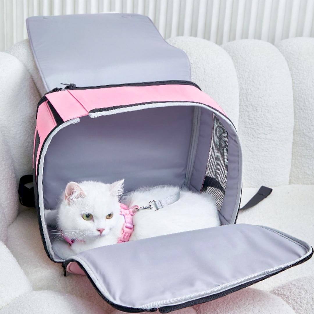Cat Peeking Out From Pink Arkika Whiskers Wonders Cat Backpack | MissyMoMo