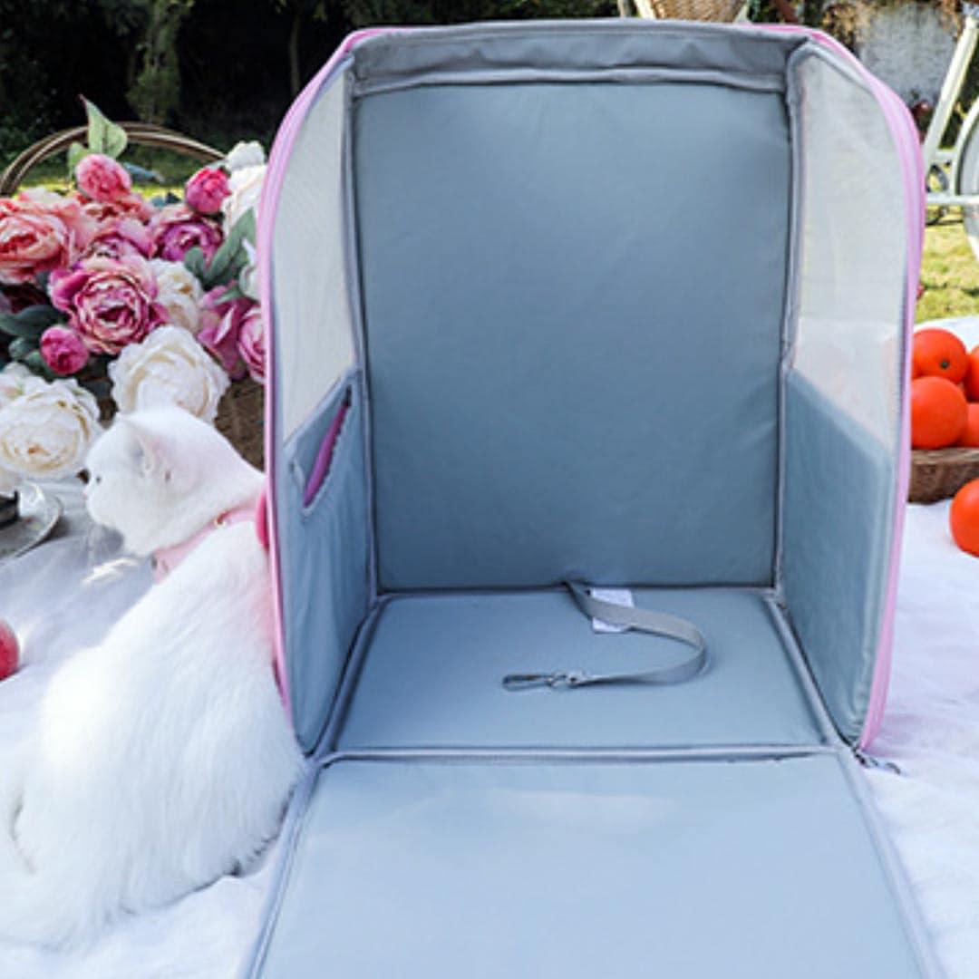 White Cat Sitting Next to Arkika Travel Cat Backpack | MissyMoMo