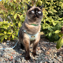 Load image into Gallery viewer, Siamese Cat in Blue Luxury Lightweight Vegan Leather Cat Harness | MissyMoMo