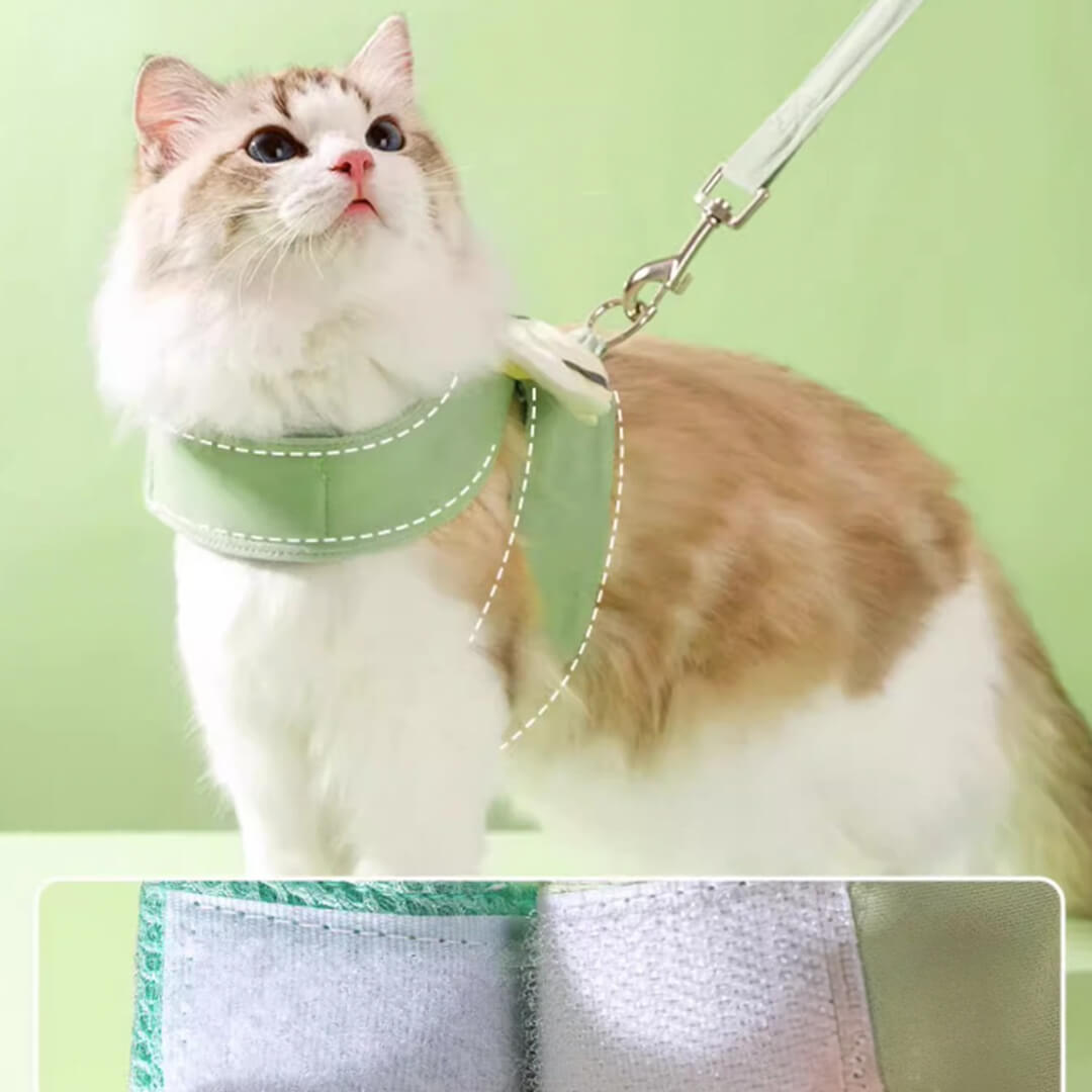 Cat in Avocado Angel Wings Harness on Leash | MissyMoMo