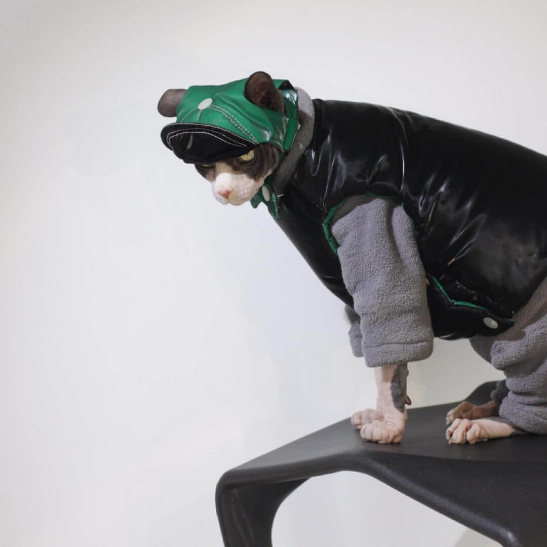 Baseball Cat Hat | Cat with Hat | Baseball Hat for Pets | MissyMoMo