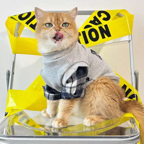 Cat Wearing Stylish Grey Sweatshirt | Plaid Sleeve Cat Outfit | MissyMoMo