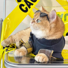 Load image into Gallery viewer, Cat Wearing Sunglasses In Navy Sweatshirt | Cool Cat Outfit | MissyMoMo