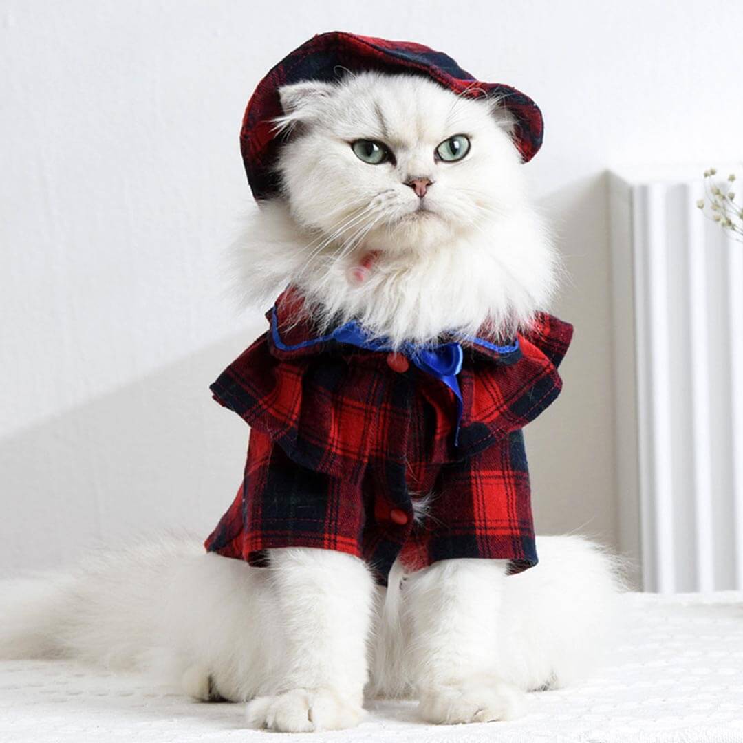 Bella Cat Shirt | Cat in Red Plaid Shirt | Cat Clothes | MissyMoMo