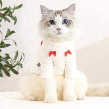 Load image into Gallery viewer, Bella Cat T-Shirt | Cat in T-Shirt | Cat Clothes | MissyMoMo