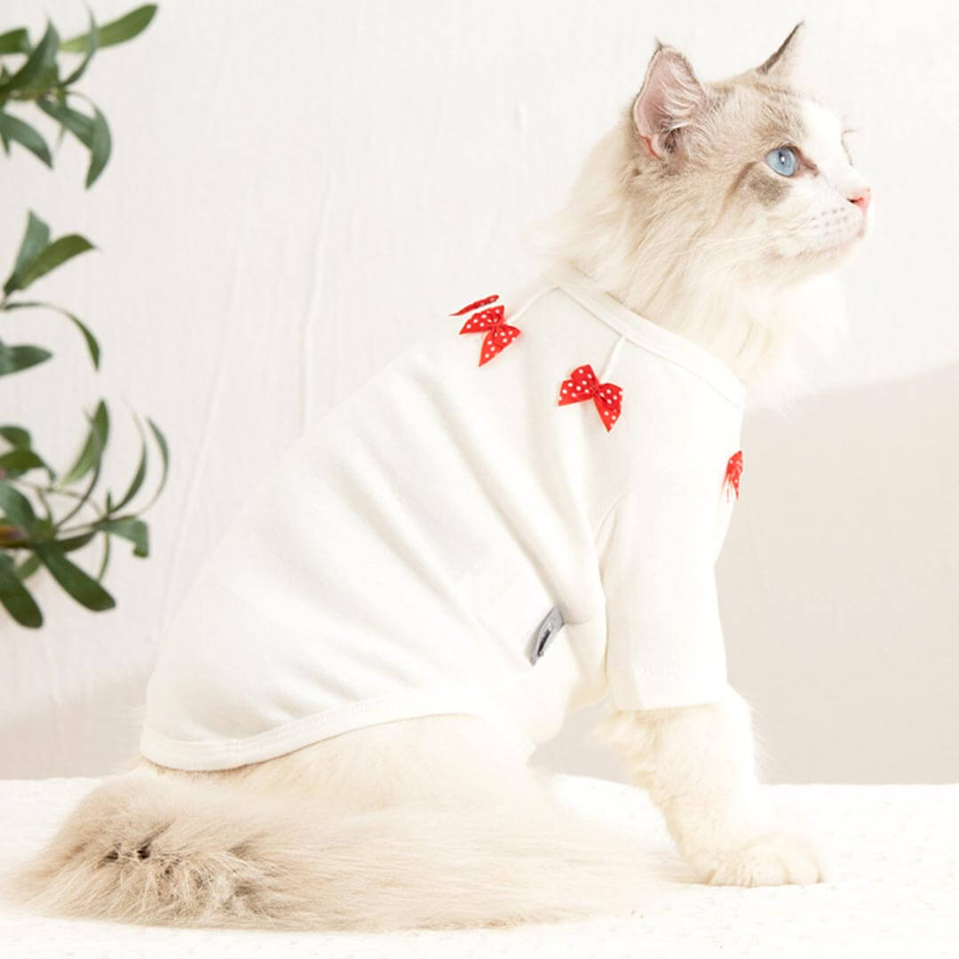 Bella Cat T-Shirt | Cat in T-Shirt | Cat Clothes | MissyMoMo