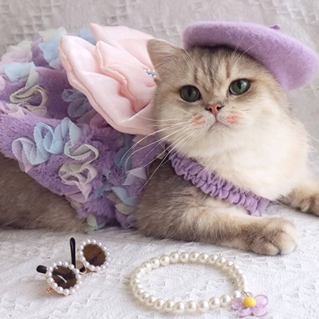 Cat in Cute Lilac Dress | MissyMoMo