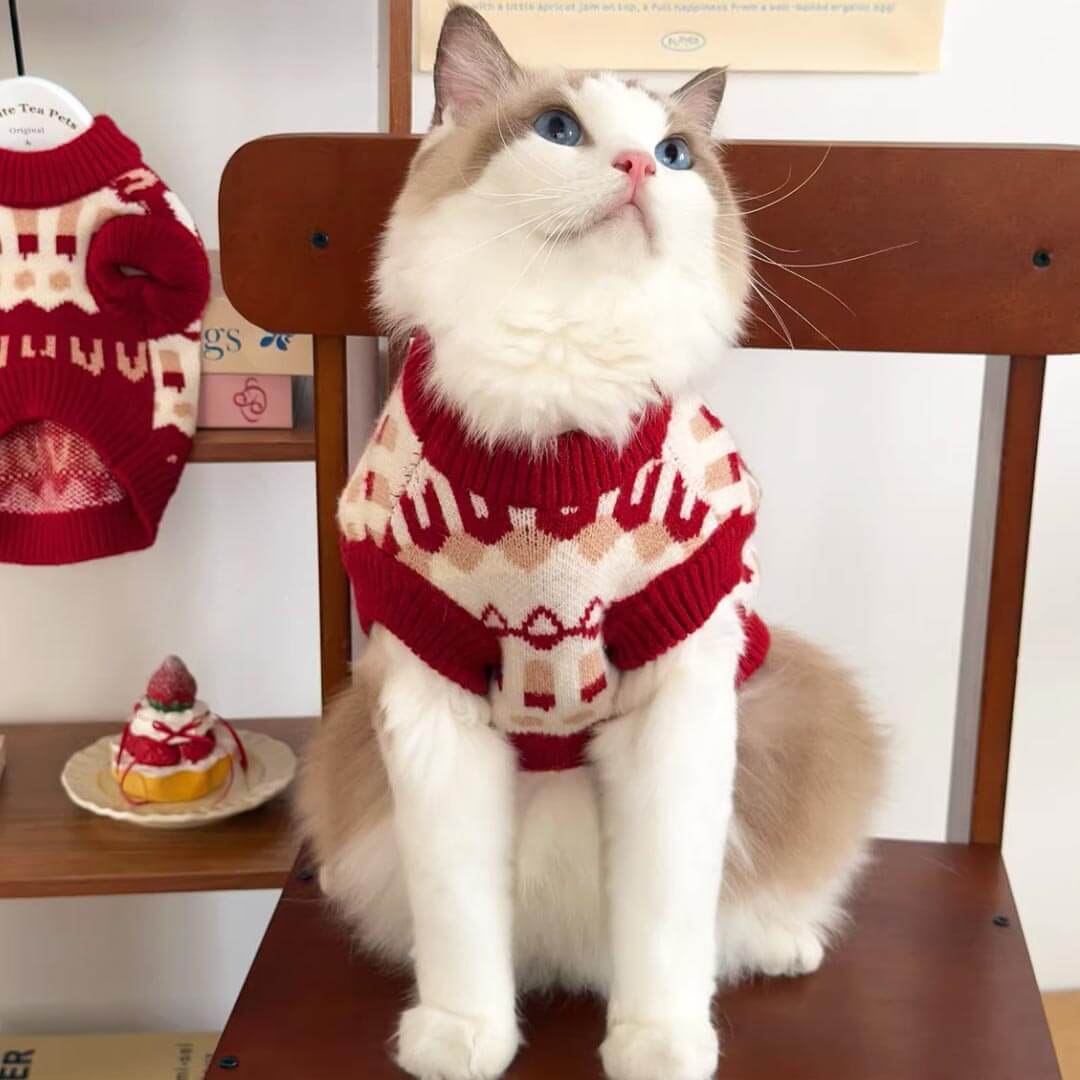 Cat Wearing Red Knit Cat Sweater | Cozy Winter Cat Clothes | MissyMoMo