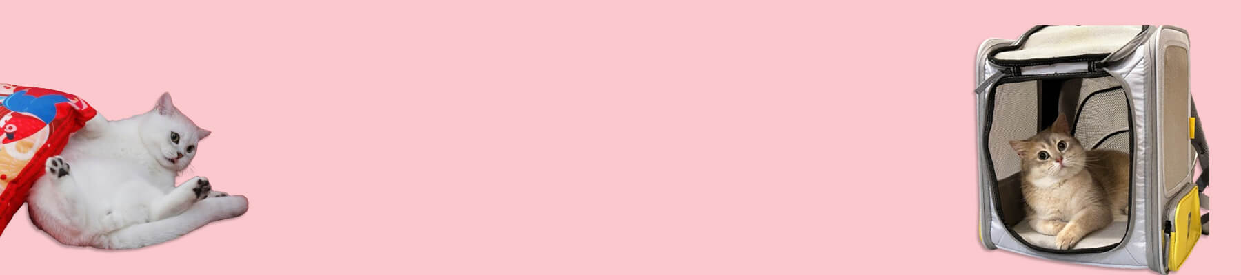 MissyMoMo Best Cat Backpack Collection