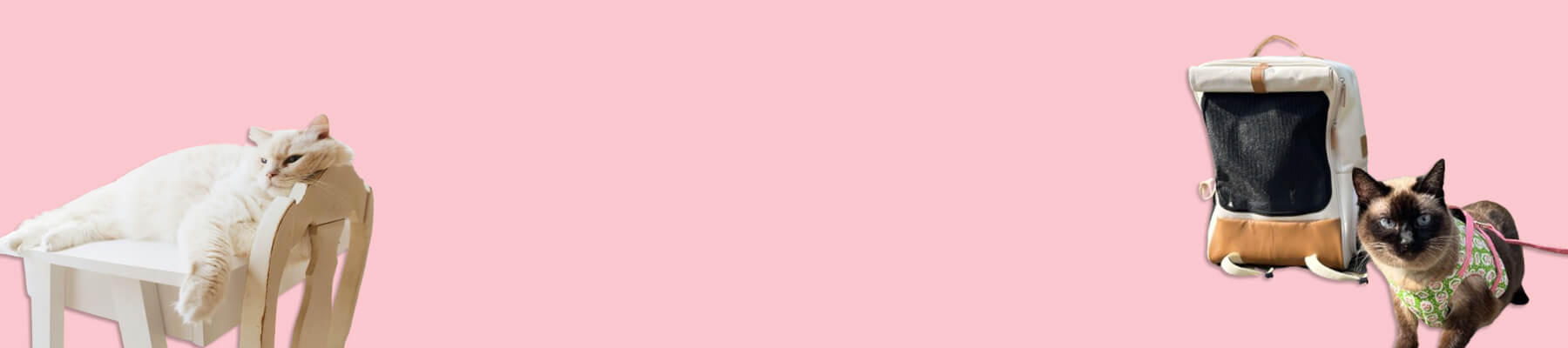 MissyMoMo Best Sellers