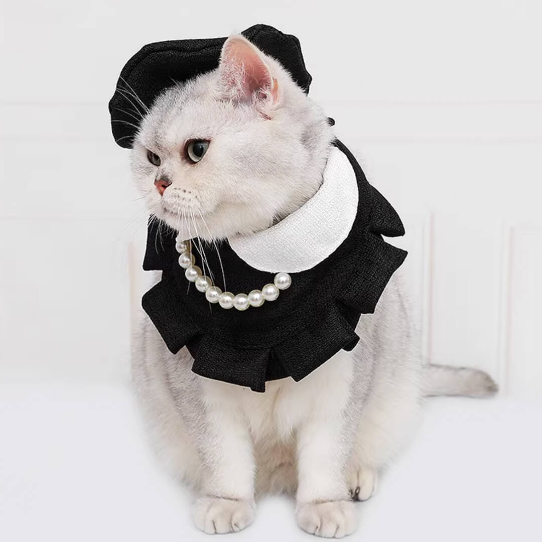 Cat in Black Cat Hat & Bib | MissyMoMo