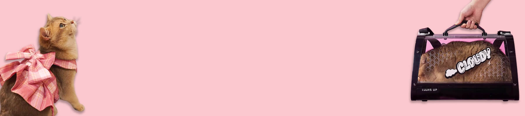 Black Cat Carrier Collection