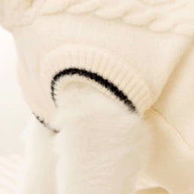 Load image into Gallery viewer, Blanc Cat Hooded Sweater | Knit Hoodie for Cats | MissyMoMo