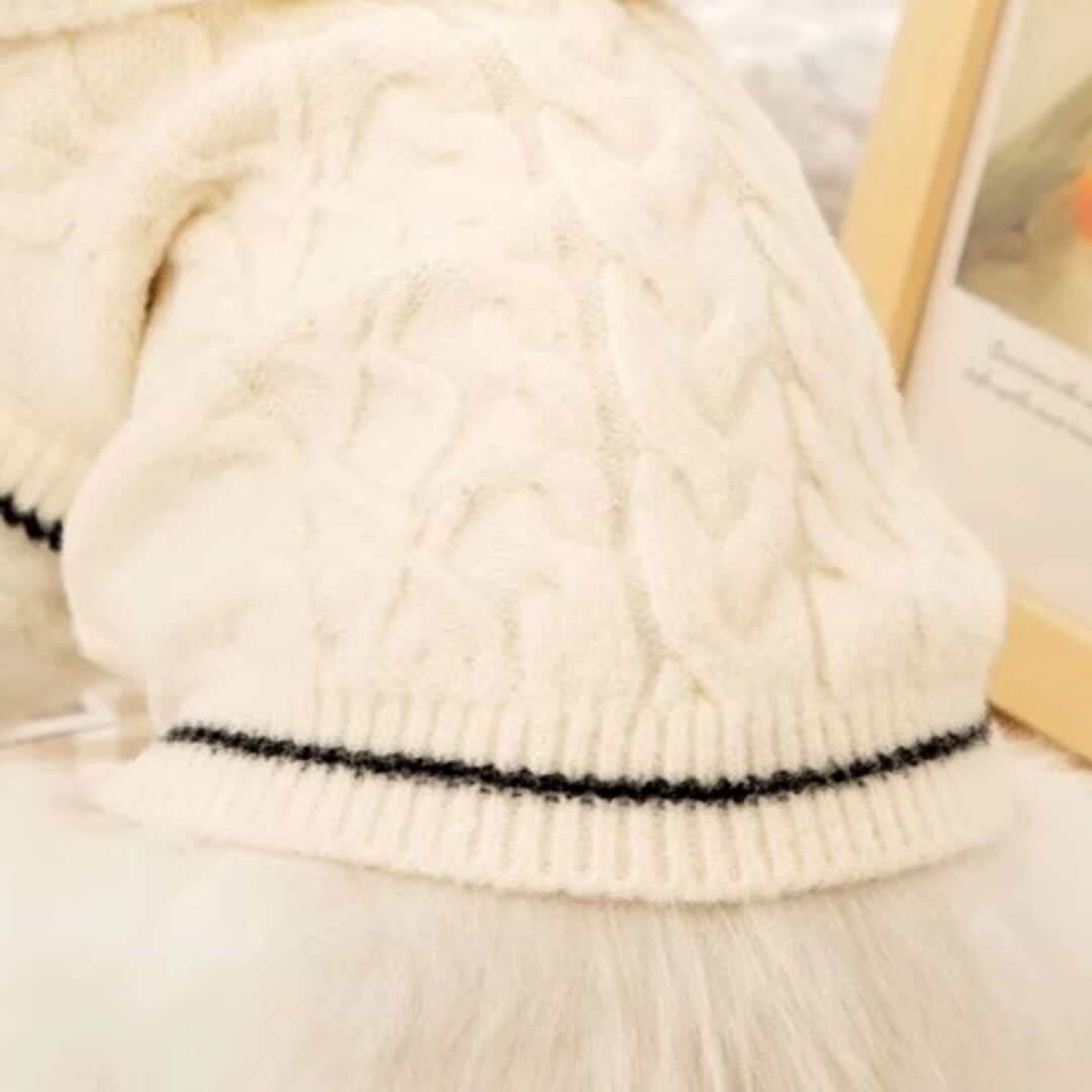 Blanc Cat Hooded Sweater | Knit Hoodie for Cats | MissyMoMo