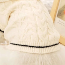 Load image into Gallery viewer, Blanc Cat Hooded Sweater | Knit Hoodie for Cats | MissyMoMo