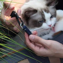 Load image into Gallery viewer, Cat Being Secured with Strap | MissyMoMo