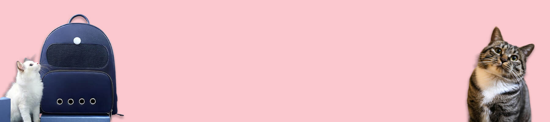 Blue Cat Carrier Collection