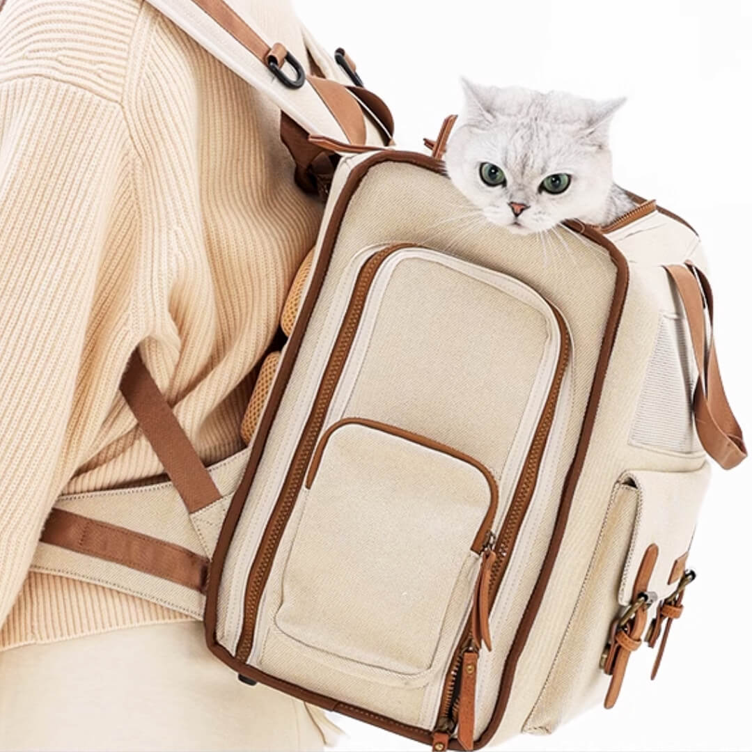 Carrying Cat with Stylish Beige Cat Backpack | MissyMoMo