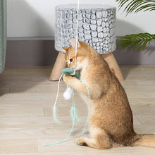 Load image into Gallery viewer, Cat Playing with Bow Whisker Twister Cat Wand | Kitten & Cat Toys | MissyMoMo