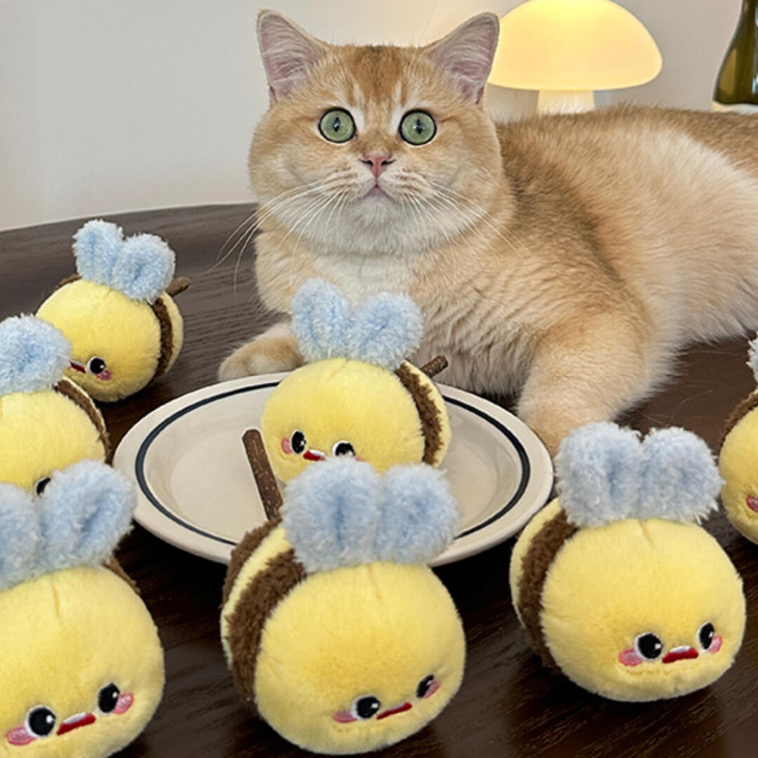 Cat with Buzzy Bee Silvervine Cat Chew Toys | Cute Cat Toys | MissyMoMo