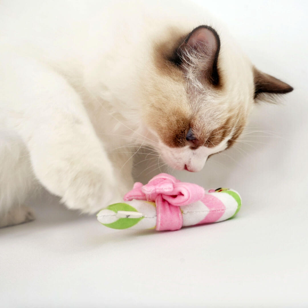 Cat with Candy Cane Catnip Toy | Cute Toy for Cats & Kittens | MissyMoMo