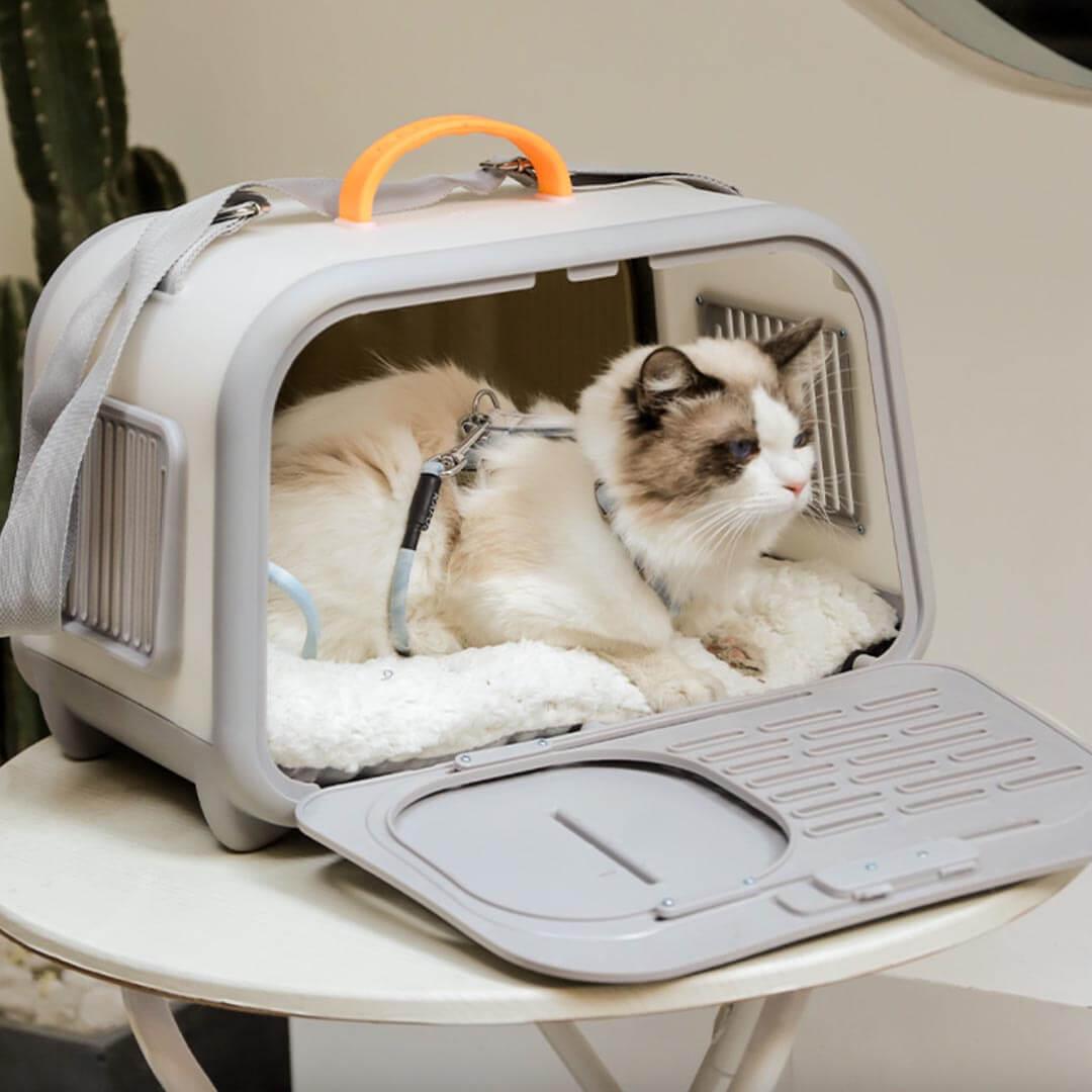 Cat Sitting in Gray Castle Cat Carrier | MissyMoMo