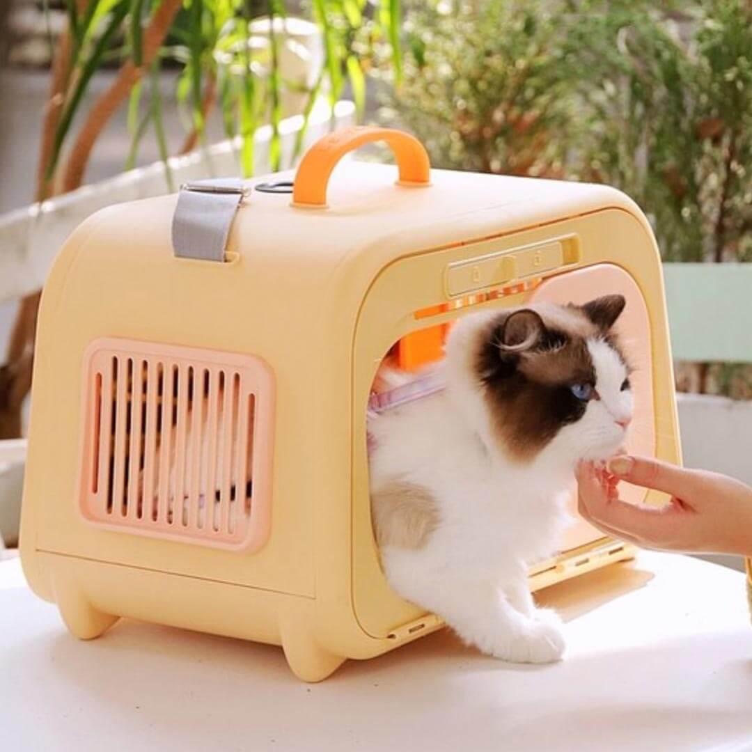 Petting Cat Inside Orange Castle Cat Carrier | MissyMoMo