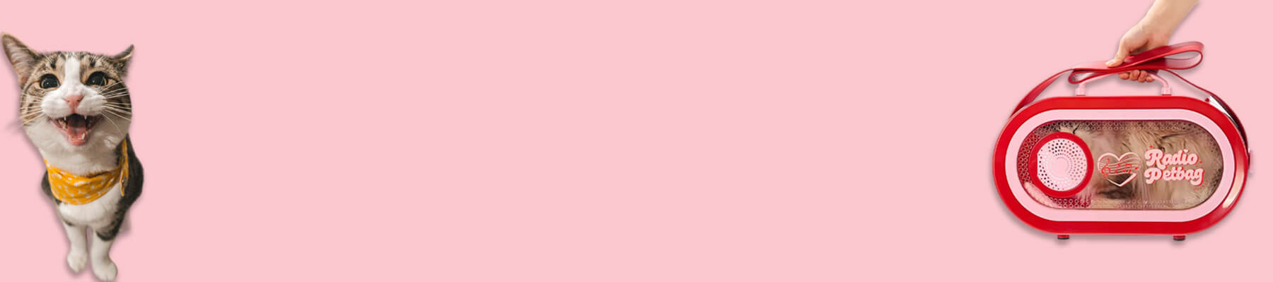 Cat Carriers for Vet Visits Collection