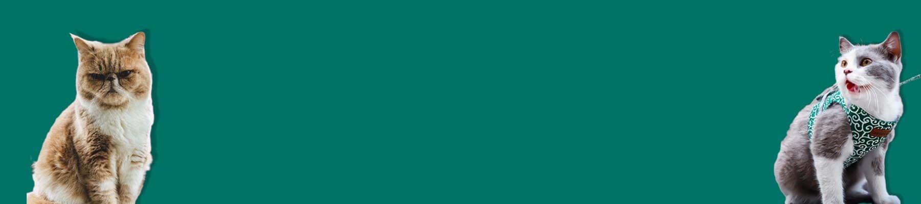 Cat Harnesses & Leashes