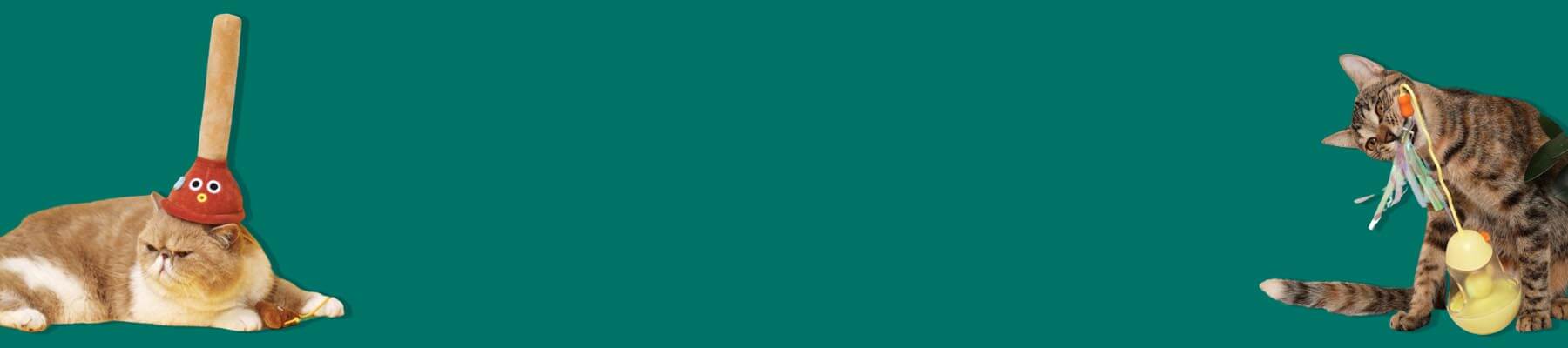 Interactive Cat Toys