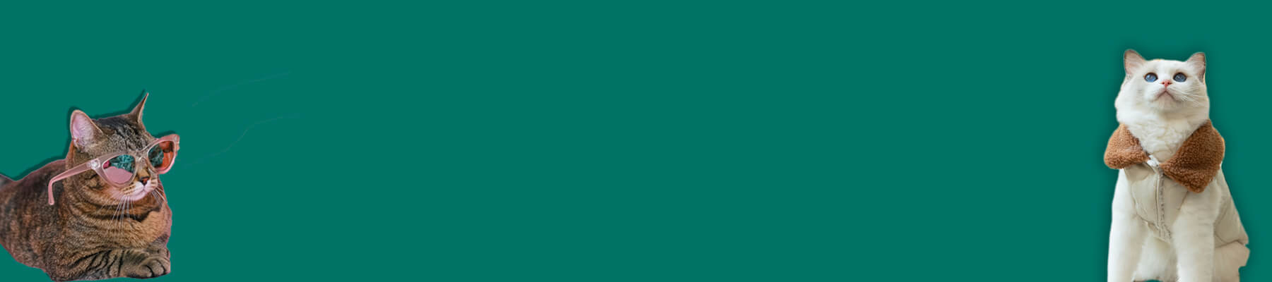 MissyMoMo Cat Jackets Collection